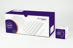 GenoFlow HPV array test kit